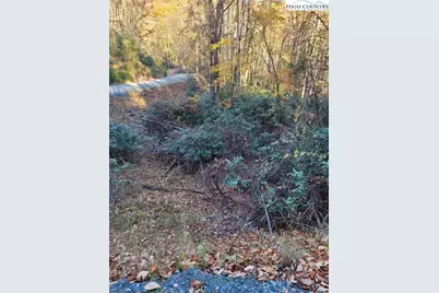 251 Poplar Drive, Beech Mountain, NC 28604 - Photo 3