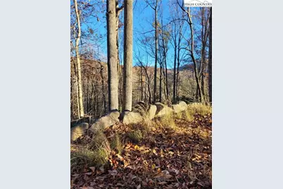 251 Poplar Drive, Beech Mountain, NC 28604 - Photo 7