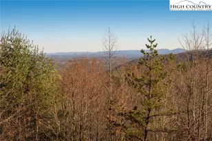 414 Elk Horn Rd, Ferguson, NC 28624 - Photo 17