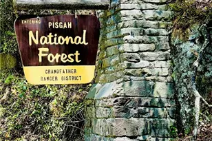 309 NE Sassafras Ct, Lenoir, NC 28645 - Photo 39