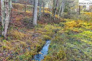 1451 Elliott Rd, West Jefferson, NC 28694 - Photo 5