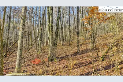 1451 Elliott Road, West Jefferson, NC 28694 - Photo 7