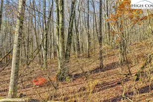 1451 Elliott Rd, West Jefferson, NC 28694 - Photo 7