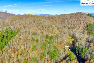 1451 Elliott Rd, West Jefferson, NC 28694 - Photo 27