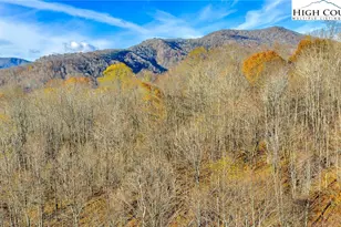 1451 Elliott Rd, West Jefferson, NC 28694 - Photo 29