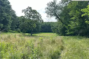 226 Loves Knob Rd, Sugar Grove, NC 28679 - Photo 25