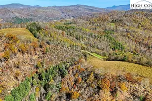 226 Loves Knob Rd, Sugar Grove, NC 28679 - Photo 7