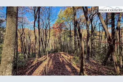 Tbd Lot 170 Wildcat Wilderness Parkway, Deep Gap, NC 28618 - Photo 19