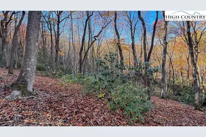 Tbd Lot 170 Wildcat Wilderness Parkway, Deep Gap, NC 28618 - Photo 29