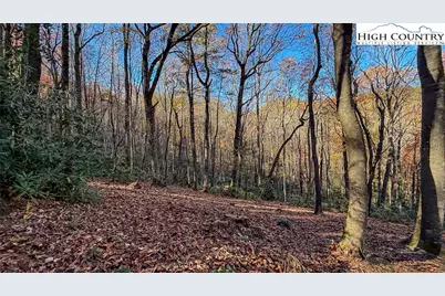 Tbd Lot 170 Wildcat Wilderness Parkway, Deep Gap, NC 28618 - Photo 21