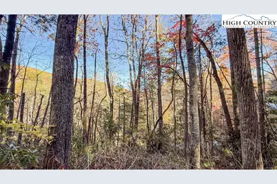 Tbd Lot 170 Wildcat Wilderness Parkway, Deep Gap, NC 28618 - Photo 27
