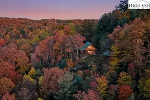 305 Fox Cove Rd, Ferguson, NC 28624 - Photo 3