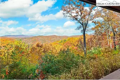 305 Fox Cove Road, Ferguson, NC 28624 - Photo 49