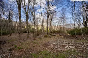 Es42 Firesong Ln, Banner Elk, NC 28604 - Photo 1