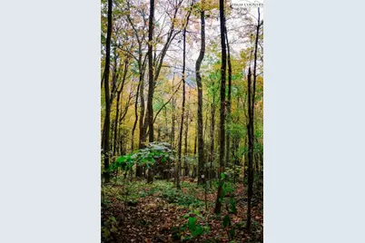 Lot 35 Tynecastle Drive, Banner Elk, NC 28604 - Photo 9