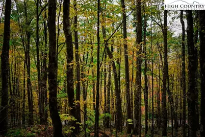 Lot 35 Tynecastle Drive, Banner Elk, NC 28604 - Photo 25