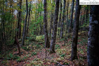 Lot 35 Tynecastle Drive, Banner Elk, NC 28604 - Photo 19