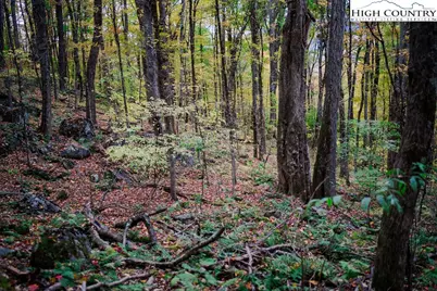 Lot 35 Tynecastle Drive, Banner Elk, NC 28604 - Photo 23