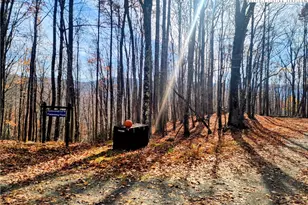 201 Sourwood Ln, Beech Mountain, NC 28604 - Photo 1