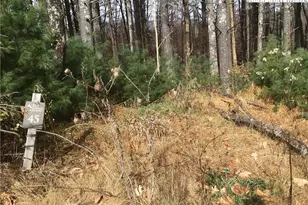 Tbd Pine Springs Estates Rd, Jefferson, NC 28640 - Photo 1