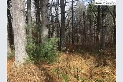 Tbd Pine Springs Estates Road, Jefferson, NC 28640 - Photo 3