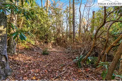 Tbd Midway Road, Newland, NC 28657 - Photo 13