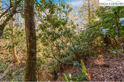 Tbd Midway Road, Newland, NC 28657 - Photo 15