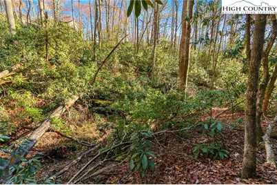 Tbd Midway Road, Newland, NC 28657 - Photo 5