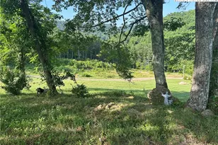 509 Grant Houck Rd, Todd, NC 28684 - Photo 13