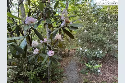 401 Windridge Road, Newland, NC 28657 - Photo 19