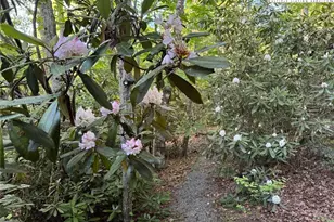 401 Windridge Rd, Newland, NC 28657 - Photo 19