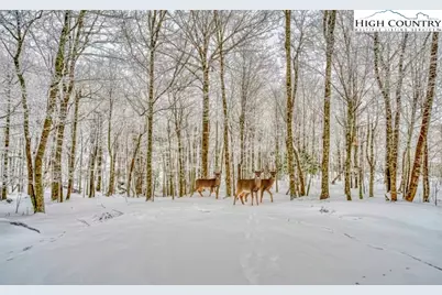 101 Doe Lane, Beech Mountain, NC 28604 - Photo 31