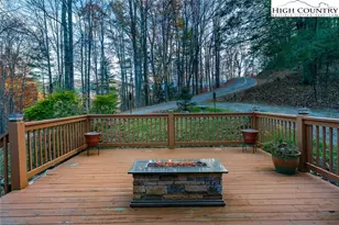 2417 Russell Norris Rd, Elk Park, NC 28622 - Photo 21