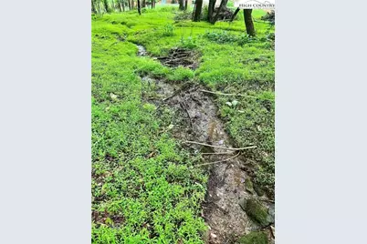 Lot 3 Riverwood Lane, Sugar Grove, NC 28679 - Photo 7