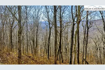 Tbd ( Lot 79) Elk Creek Mountain Parkway, Todd, NC 28684 - Photo 7