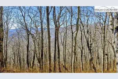 Tbd ( Lot 79) Elk Creek Mountain Parkway, Todd, NC 28684 - Photo 23