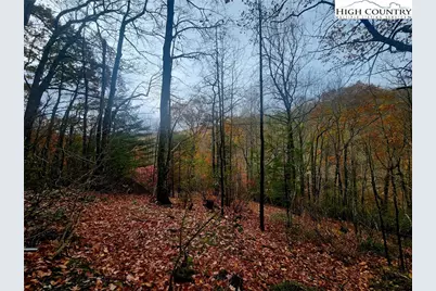 2876 Howards Creek Road, Boone, NC 28607 - Photo 25