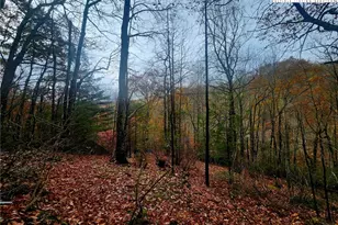 2876 Howard's Creek Rd, Boone, NC 28607 - Photo 25