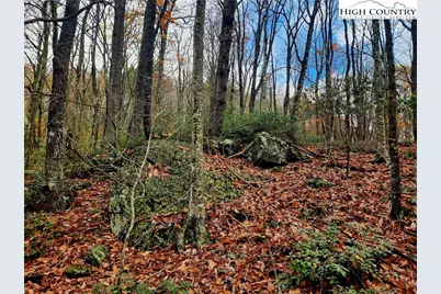 2876 Howards Creek Road, Boone, NC 28607 - Photo 27