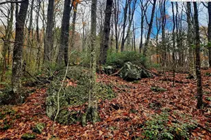 2876 Howard's Creek Rd, Boone, NC 28607 - Photo 27