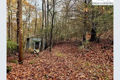 2876 Howards Creek Road, Boone, NC 28607 - Photo 7