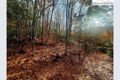 2876 Howards Creek Road, Boone, NC 28607 - Photo 17