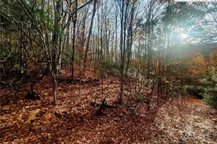 2876 Howard's Creek Rd, Boone, NC 28607 - Photo 17