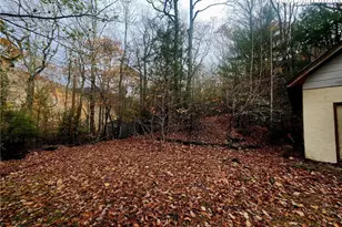 2876 Howard's Creek Rd, Boone, NC 28607 - Photo 5