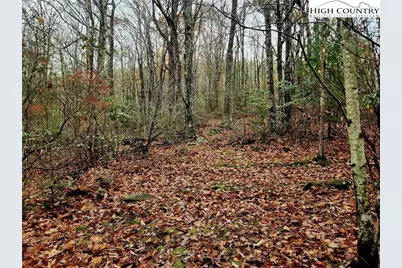 2876 Howards Creek Road, Boone, NC 28607 - Photo 19