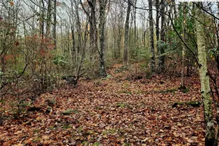 2876 Howard's Creek Rd, Boone, NC 28607 - Photo 19