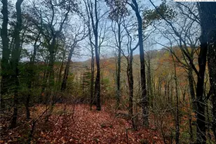 2876 Howard's Creek Rd, Boone, NC 28607 - Photo 31