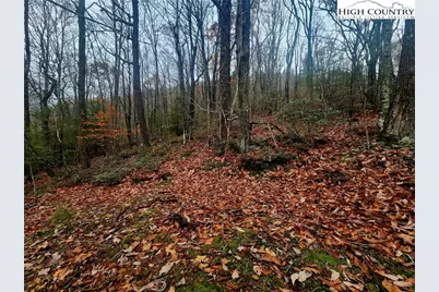 2876 Howards Creek Road, Boone, NC 28607 - Photo 23