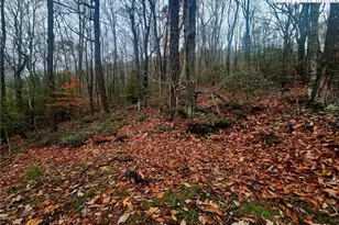 2876 Howard's Creek Rd, Boone, NC 28607 - Photo 23