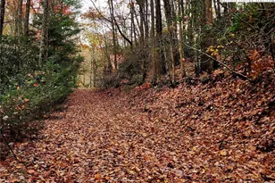 2876 Howard's Creek Rd, Boone, NC 28607 - Photo 15